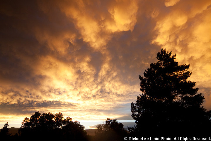 Arvada Sunset