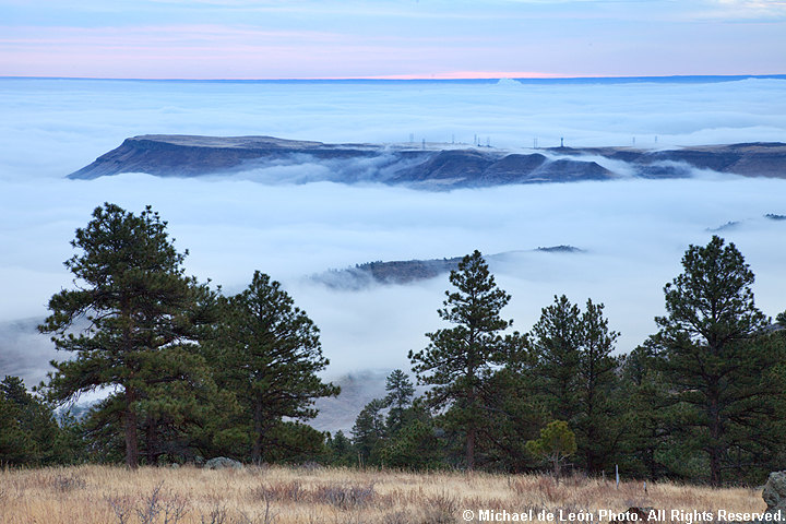 Dense Fog Below