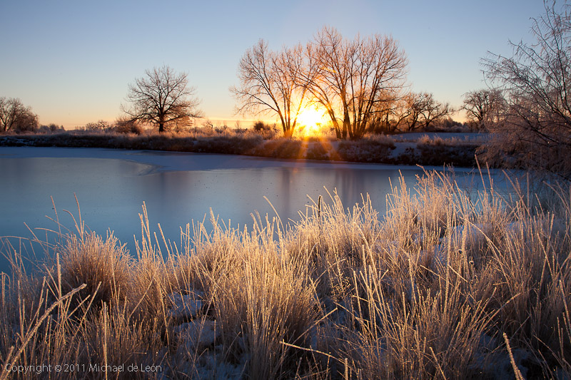 Frigid Dawn