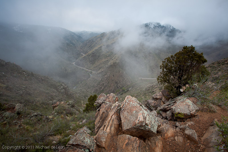 Lookout Fog