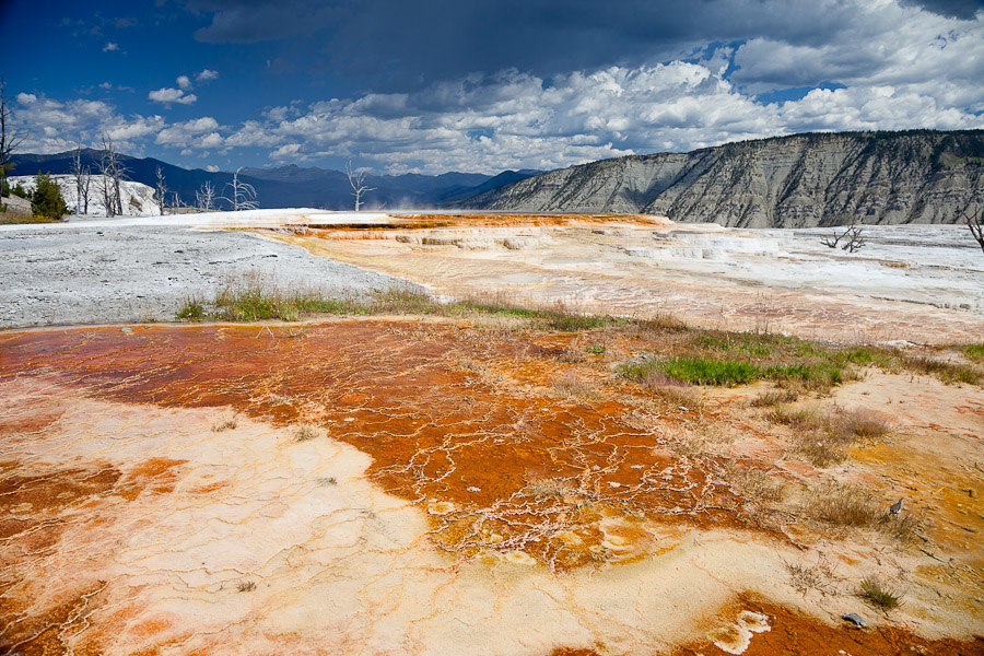 Mammoth Hot Springs