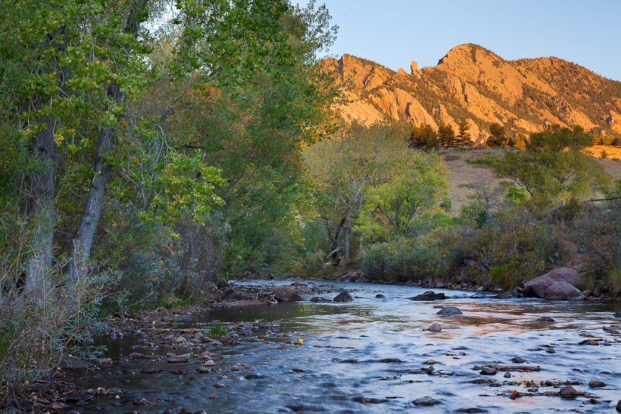 Creek Light