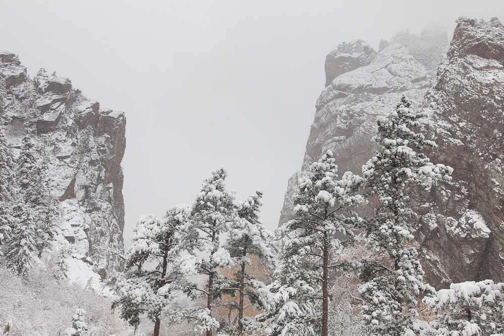 First Snow