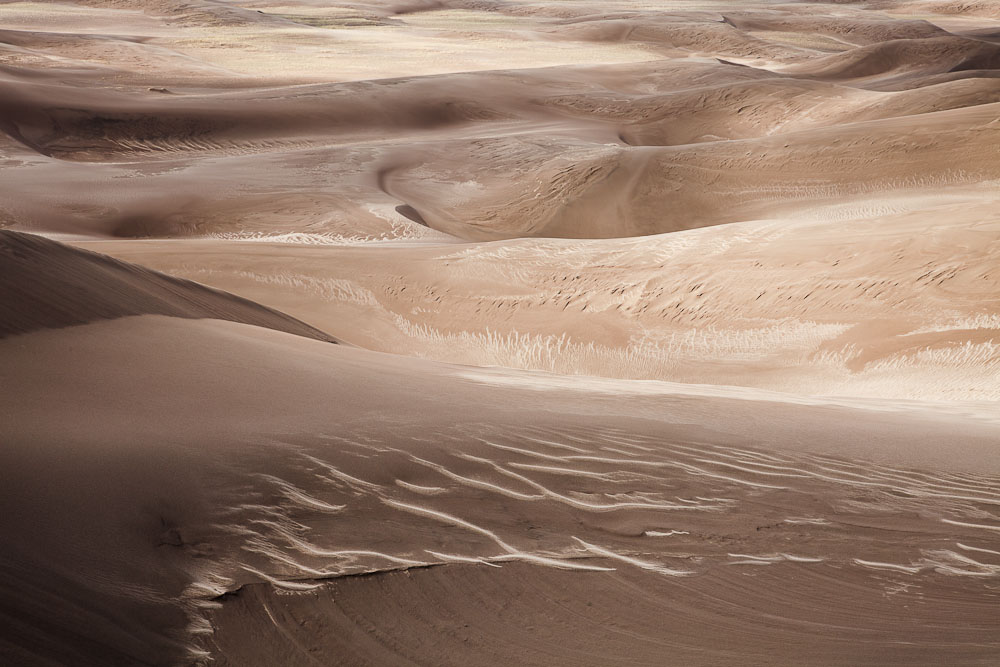 Dune Morning