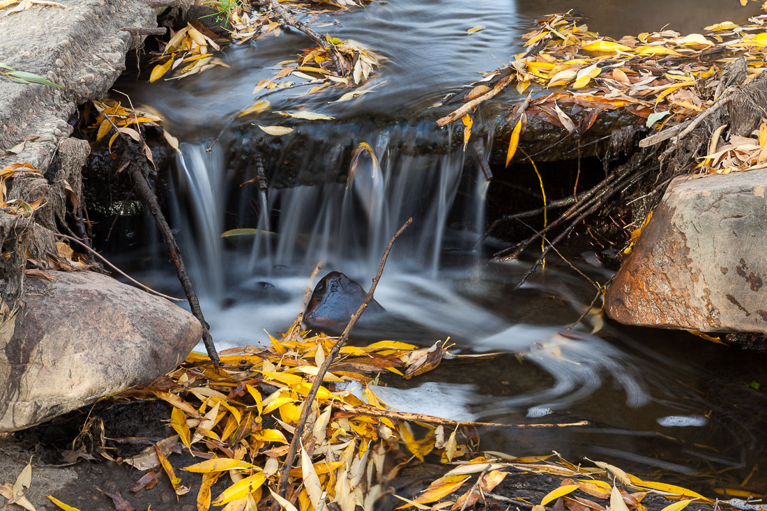 Clear Creek Rush